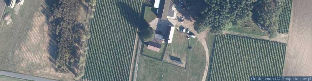Zdjęcie satelitarne Dąbrowa Nowa ul.