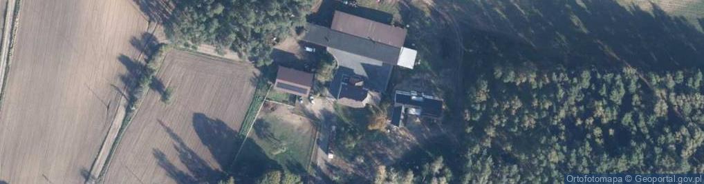 Zdjęcie satelitarne Dąbrowa Nowa ul.