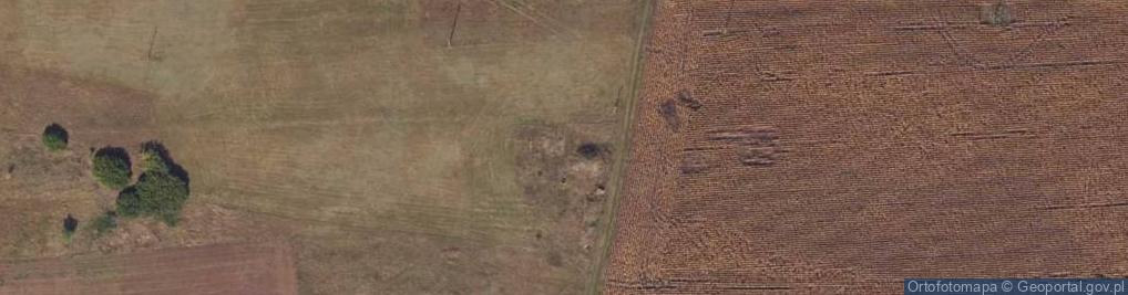 Zdjęcie satelitarne Dąbrowa Wielka ul.