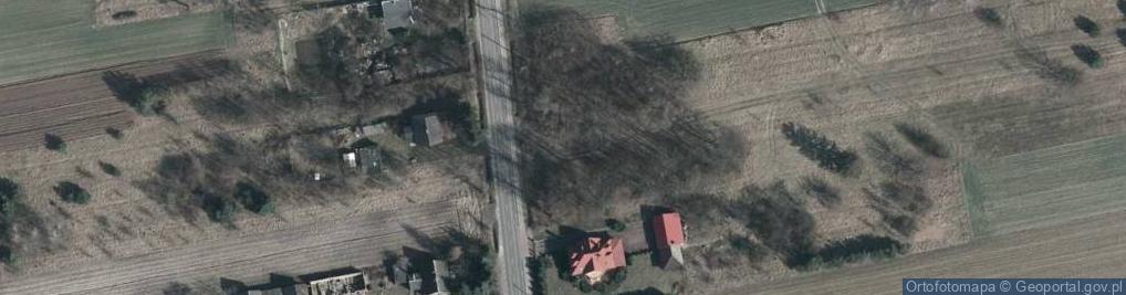 Zdjęcie satelitarne Dąbrowa ul.