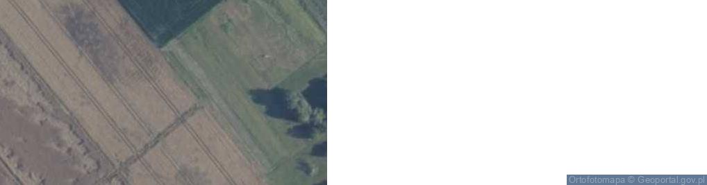 Zdjęcie satelitarne Dąbrowa ul.