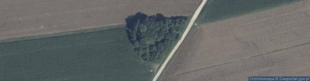 Zdjęcie satelitarne Dąbrowa ul.