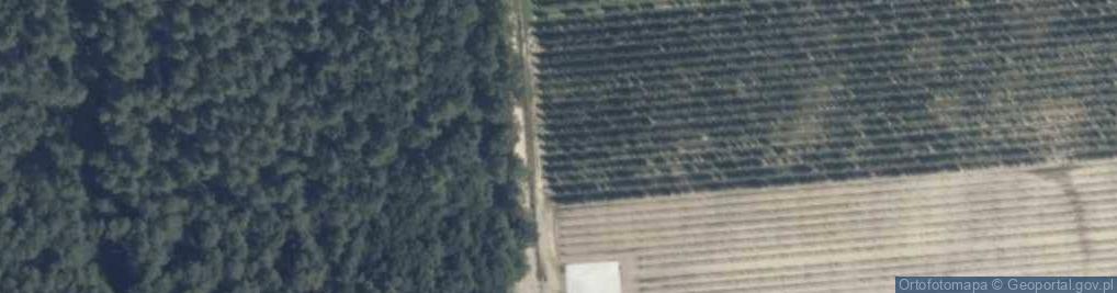 Zdjęcie satelitarne Dąbrowa ul.