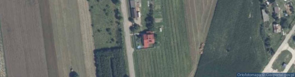 Zdjęcie satelitarne Dąbrowa ul.