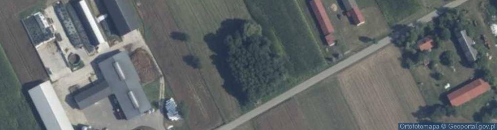 Zdjęcie satelitarne Dąbrowa ul.