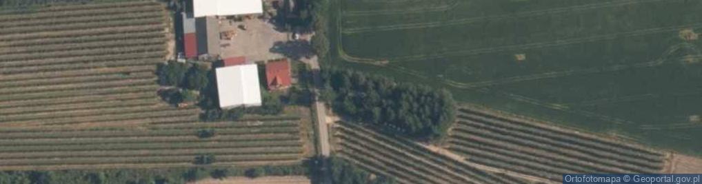 Zdjęcie satelitarne Dąbrowa ul.