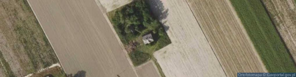 Zdjęcie satelitarne Dąbrowa ul.