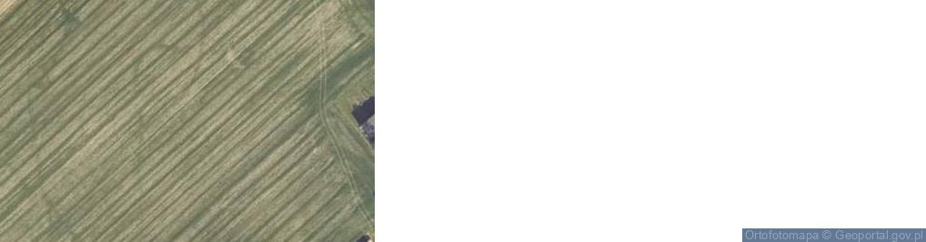 Zdjęcie satelitarne Dąbrowa ul.