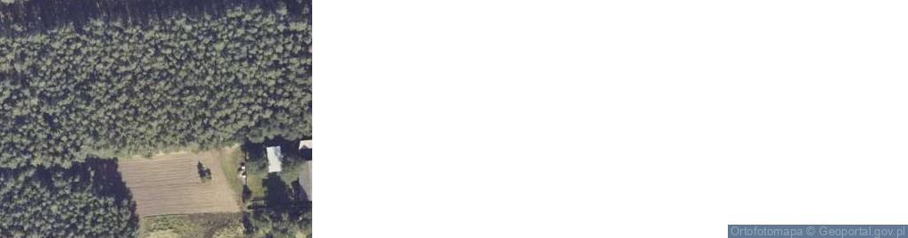 Zdjęcie satelitarne Dąbrowa ul.