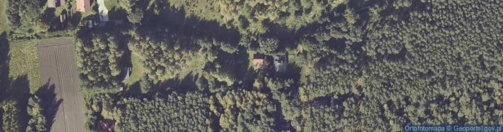 Zdjęcie satelitarne Dąbrowa ul.