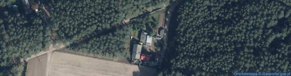 Zdjęcie satelitarne Dąbrowa ul.