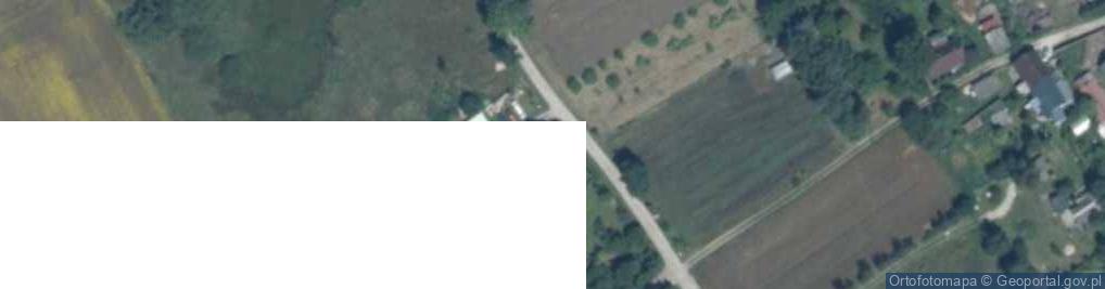 Zdjęcie satelitarne Dąbrowa ul.