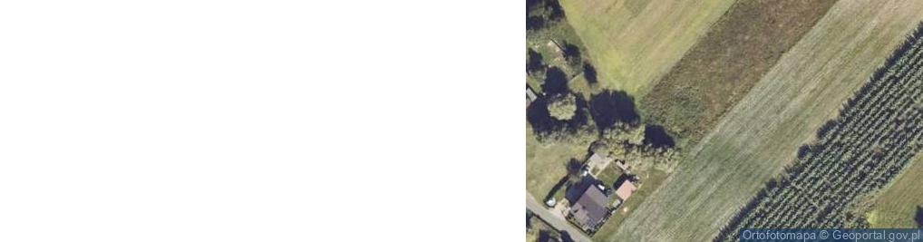 Zdjęcie satelitarne Dąbrowice Częściowe ul.