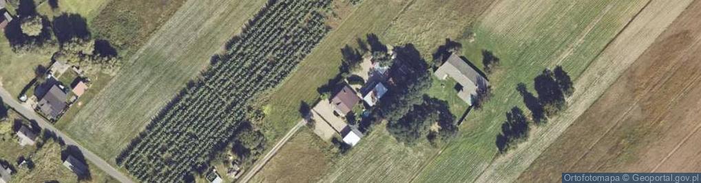 Zdjęcie satelitarne Dąbrowice Częściowe ul.