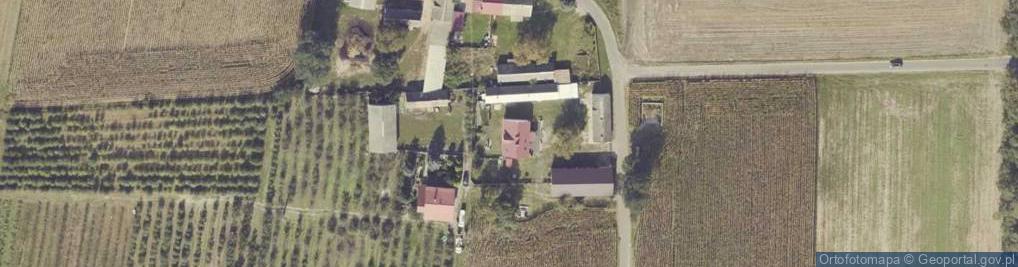 Zdjęcie satelitarne Dąbrowice Stare ul.