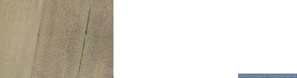 Zdjęcie satelitarne Dąbrowice Stare ul.