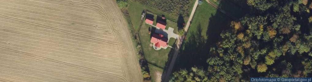 Zdjęcie satelitarne Dąbrowice ul.