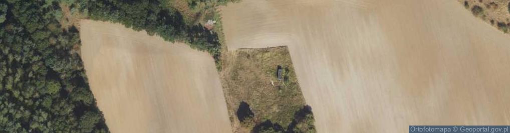 Zdjęcie satelitarne Dąbrówka Królewska ul.