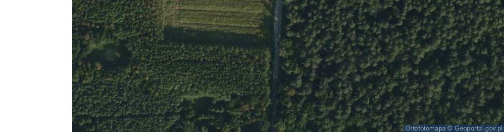 Zdjęcie satelitarne Dąbrówka Osuchowska ul.