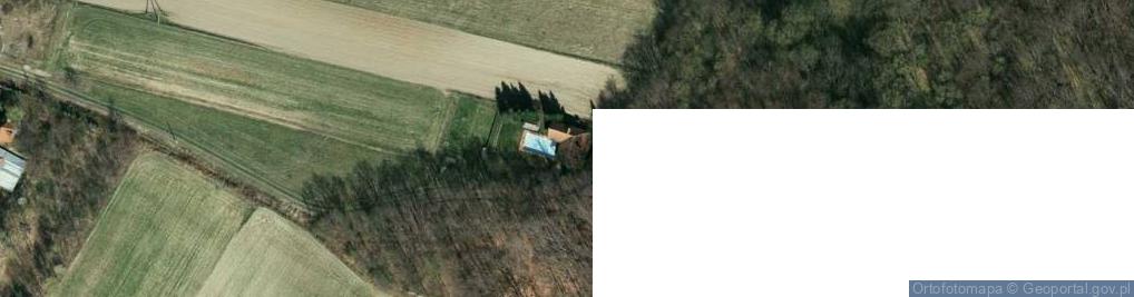 Zdjęcie satelitarne Dąbrówka Szczepanowska ul.