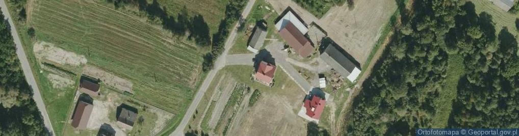 Zdjęcie satelitarne Dąbrówka Wisłocka ul.