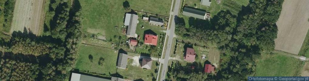 Zdjęcie satelitarne Dąbrówka Wisłocka ul.