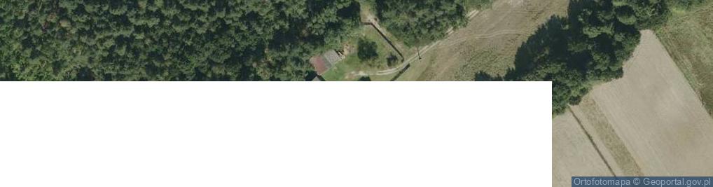 Zdjęcie satelitarne Dąbrówka Wisłocka ul.