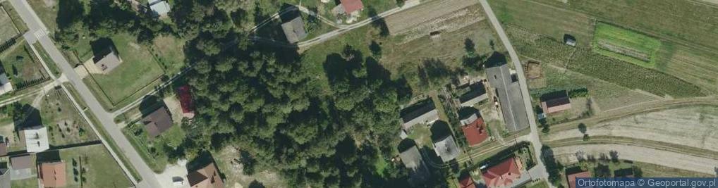 Zdjęcie satelitarne Dąbrówka Wisłocka ul.