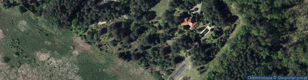 Zdjęcie satelitarne Dąbrówka ul.
