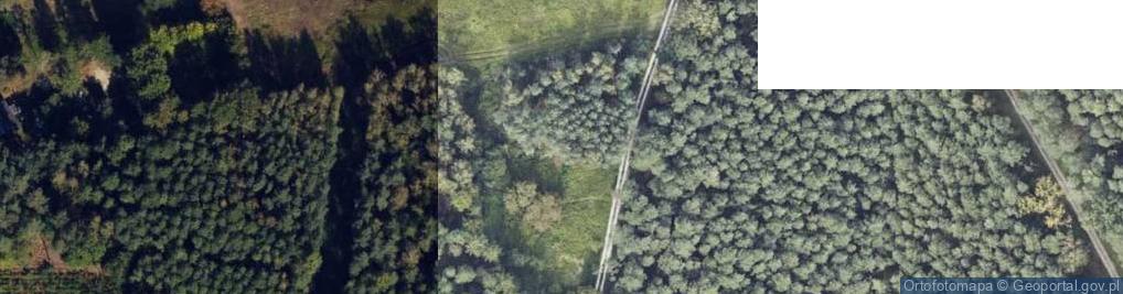 Zdjęcie satelitarne Dąbrówka ul.