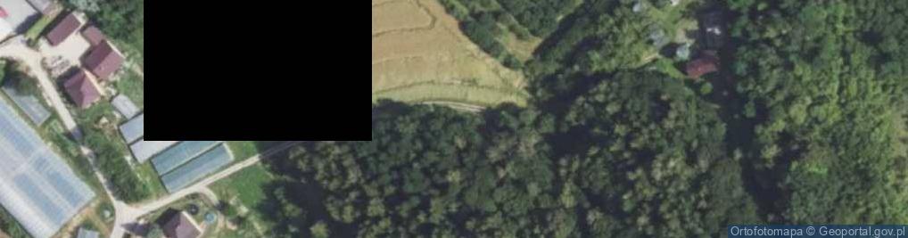 Zdjęcie satelitarne Dacharzów ul.