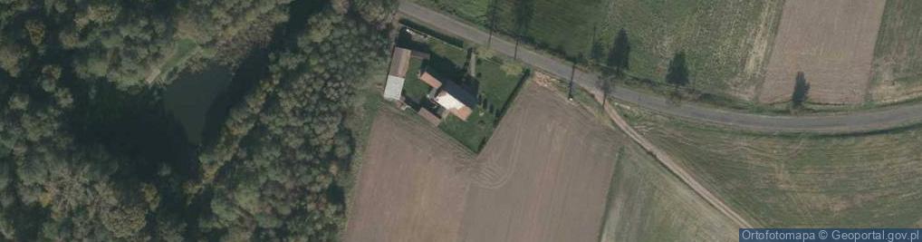 Zdjęcie satelitarne Dąbrowicka ul.