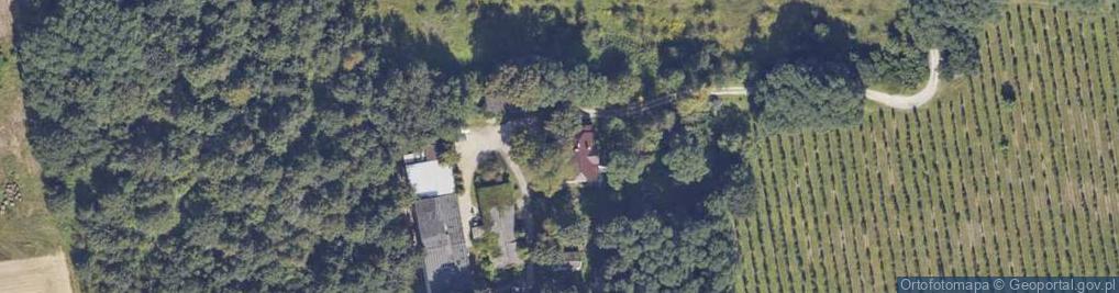 Zdjęcie satelitarne Danków Duży ul.