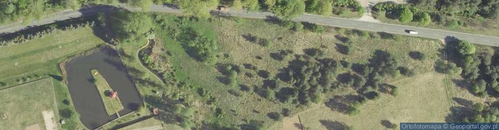 Zdjęcie satelitarne Danków ul.