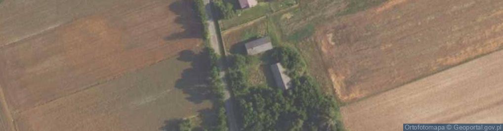 Zdjęcie satelitarne Dankowice Pierwsze ul.
