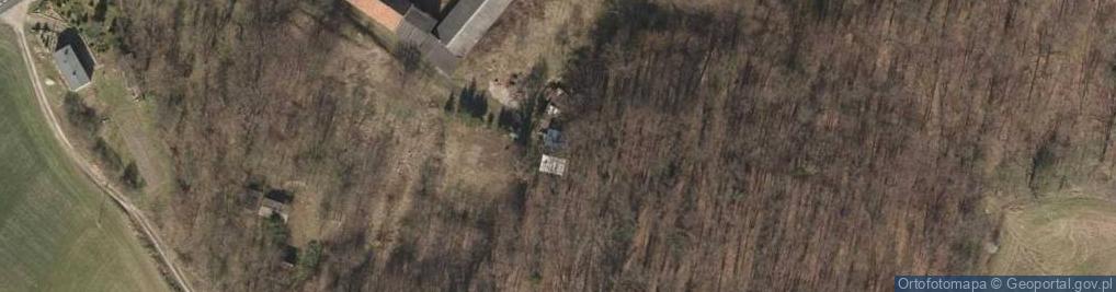 Zdjęcie satelitarne Dankowice ul.