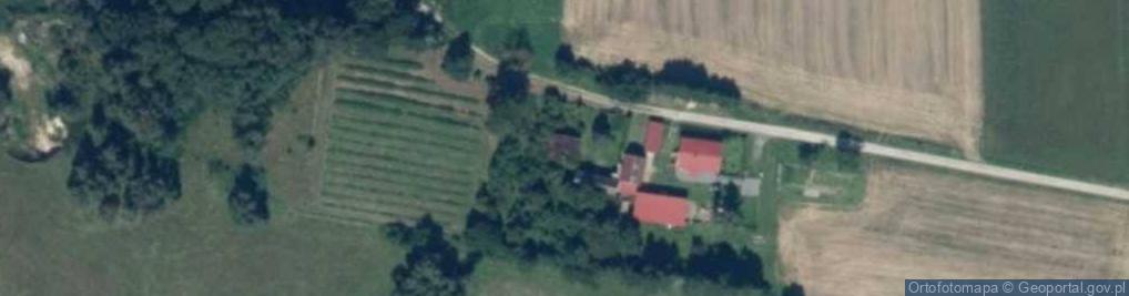 Zdjęcie satelitarne Dargikowo ul.