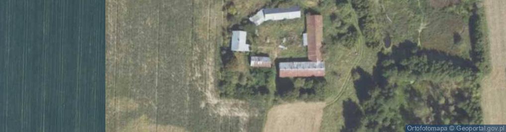 Zdjęcie satelitarne Dawidowizna ul.