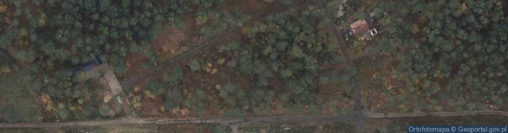 Zdjęcie satelitarne Daglezji ul.