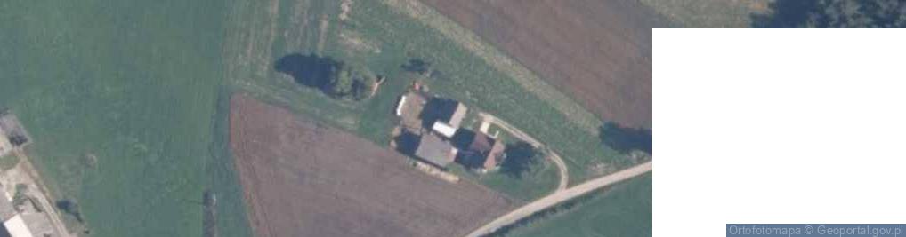 Zdjęcie satelitarne Dąbrowa ul.