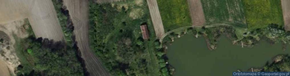 Zdjęcie satelitarne Dąbska ul.