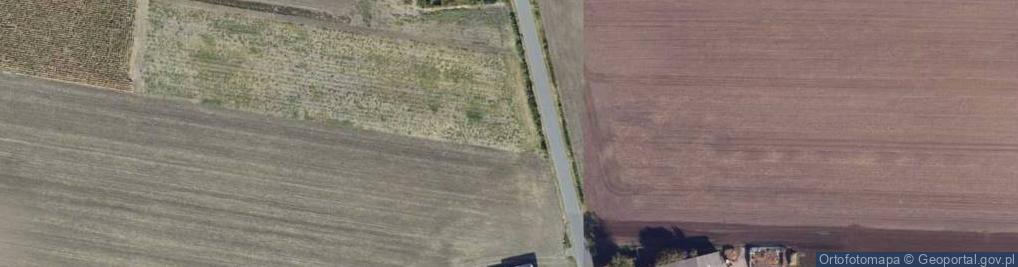 Zdjęcie satelitarne Dalkowska ul.