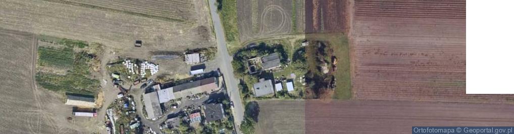 Zdjęcie satelitarne Dalkowska ul.