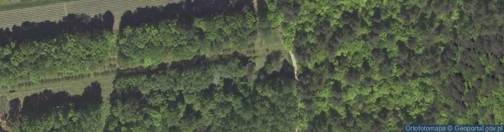 Zdjęcie satelitarne Dąbrówka ul.