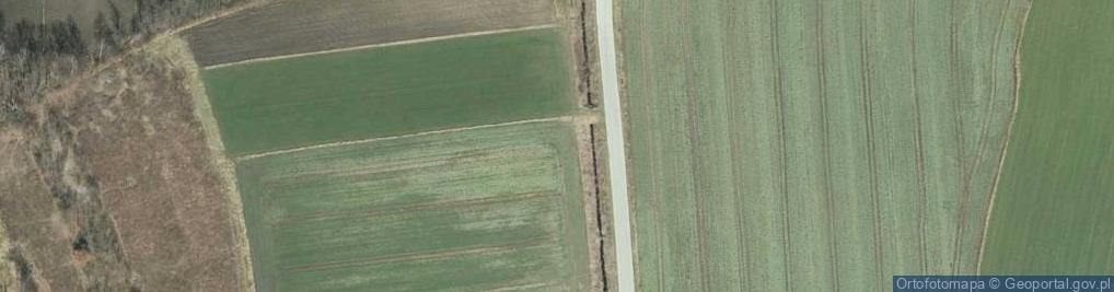 Zdjęcie satelitarne Dąbrowska ul.