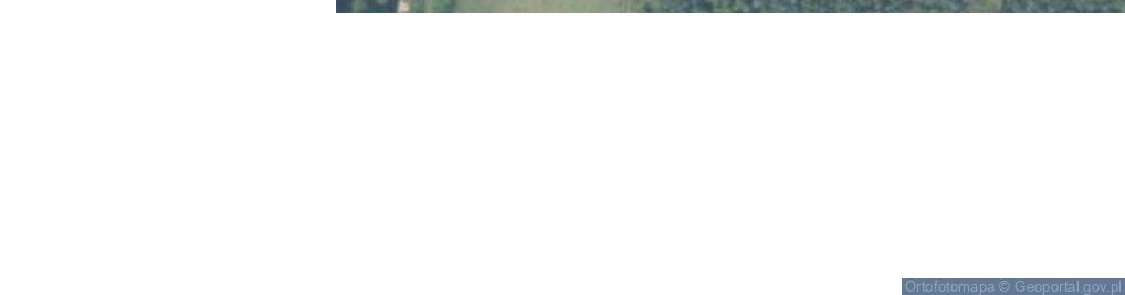 Zdjęcie satelitarne Daglezji ul.