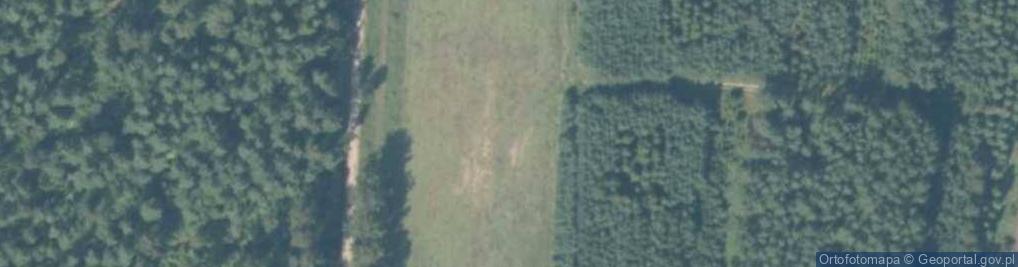 Zdjęcie satelitarne Daglezji ul.