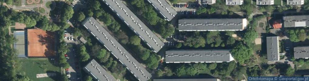 Zdjęcie satelitarne Dambonia Alojzego ul.