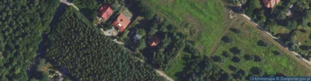 Zdjęcie satelitarne Daglezji ul.