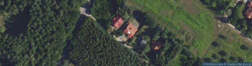 Zdjęcie satelitarne Daglezji ul.